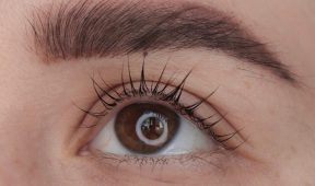 Eyebrow Styling  image